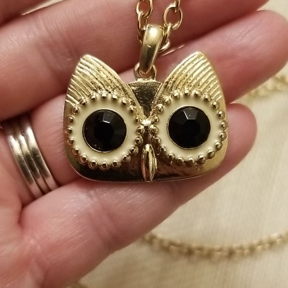 Long, Cute Owl Head Necklace 🦉 - Picture 3 of 6